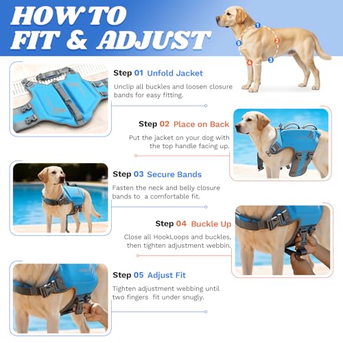 VIVAGLORY High Buoyancy Schwimmweste Hund, Rettungsweste, Hundeschwimmweste für Bootfahren, Schwimmhilfe & Auftrieb, S, Orange