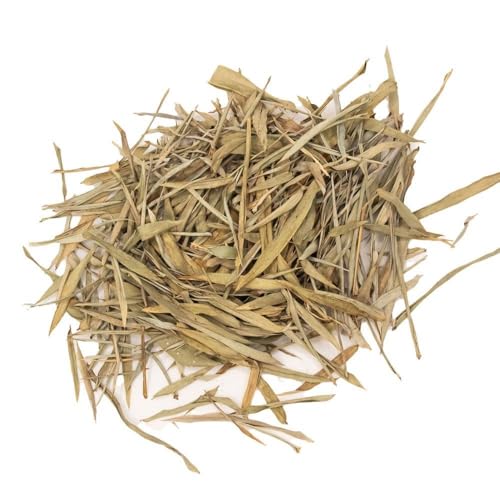 Reptiles Planet - Repti Bamboo Leaves - Foglie di bambù Naturali - 2 Litri