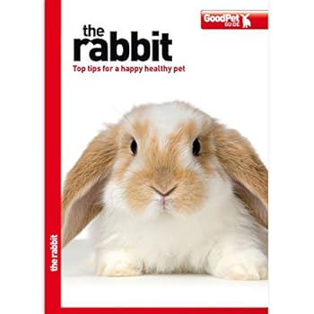 Paperback The Rabbit - Good Pet Guide Book
