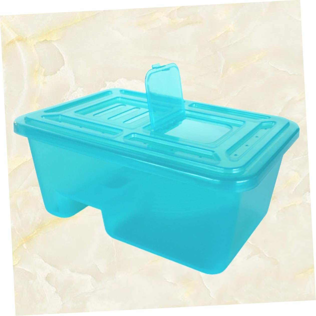 Balacoo 1Pc Turtle Tank with Basking Platform and Ramp for Aquarium Box for Tortoise Habitat Plastic Design for Feeding and Breeding