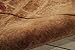 Nourison Somerset Modern Botanical Latte 2'3