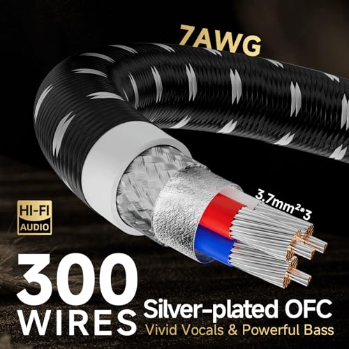 TODN 1.15ft Power EMI Filter Cable Silver-Plated OFC for Clean up Power by TODN - Used condition - Image 2