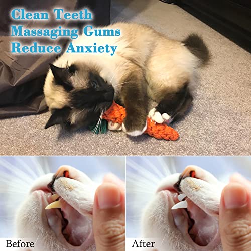 Vivifying Giocattoli da masticare per cuccioli