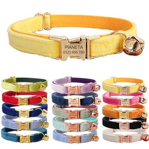 PIANETA L O聕dbԍ qDt t qL^ɓKpC DEID^O (S (16-26cm), CG[+S[h)