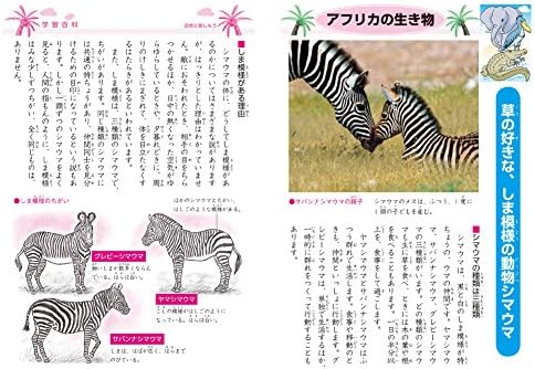 Amazon ショウワノート 学習帳 ジャポニカ かんじれんしゅう 100字 B5サイズ 文房具 オフィス用品 文房具 オフィス用品 Amazon ショウワノート 学習帳 ジャポニカ かんじれんしゅう 100字 B5サイズ 文房具 オフィス用品 文房具 オフィス用品