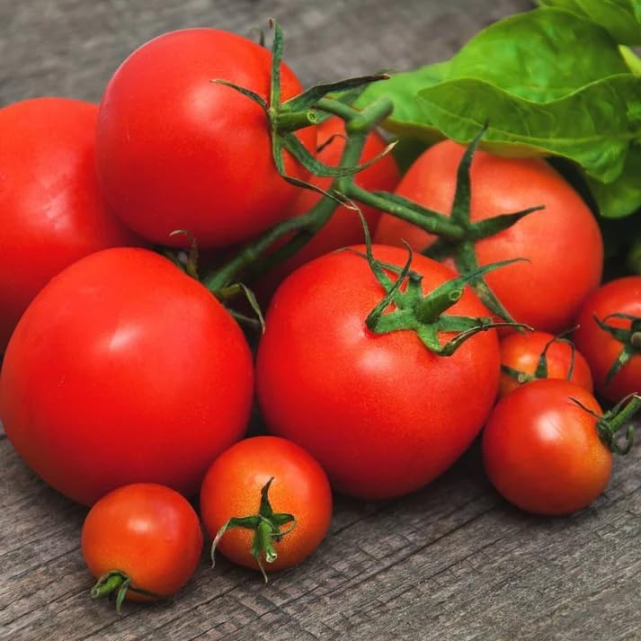 Image of Round Climber Tomato Vegetable Seeds, Vegetable Seeds for Home Gardening, Vegetable Planting Seeds for Kitchen, Tomato Seeds (Pack of 2g) (Red, Round Climber Tomato)