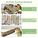 Fhiny 4 PCS Parakeet Treats, Natural Cockatiel Food Eucalyptus Leaves Mixed Grains Parrot Snack Sticks Bird Treats for Budgerigars Lovebirds Canaries Conurus Finches