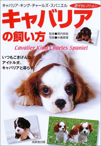 キャバリアの飼い方 いつもごきげんなアイドル犬 キャバリアと暮らす 愛犬セレクション 英樹 尾内 真理 中島 本 通販 Amazon