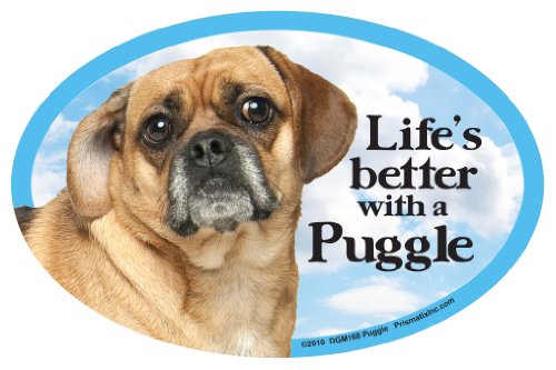 Prismatix Decal Cat and Dog Magnets, Puggle
