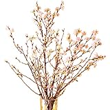 花のギフト社 啓翁桜 桜 さくらの花 正月桜 桜の花 花束 サクラ 桜のお花 正月 プレゼント 7本