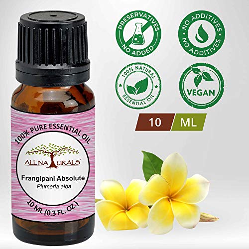 Image of ALL NATURALS Frangipani Absolute Essential Oil 100% Pure for Aromatherapy, Natural Perfumes, Massage, Diffusers(10ml)