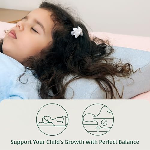 Image of The White Willow Bed Pillow For Kids-Toddler Pillow For 3 Years To 8 Years-Contour Memory Foam Soft Kids Pillows For Sleeping-Small Neck Support Pillows For Girls & Boys-Toddler Pillows-Sky Blue Cover