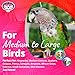 Super Bird Creations - SB301 Chewable Paper Party Bird Toy with Colorful Lollipop Sticks - Ringnecks Medium Conures Parrot - Chew Enthusiasts - Enriching Bird Toys for Medium to Large Birds - 1-Pack