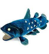 カロラータ シーラカンス ぬいぐるみ (Mサイズ/やさしい手触り) リアル 古代魚 魚 おもちゃ お人形 ギフト プレゼント 誕生日 (検針2度済み)