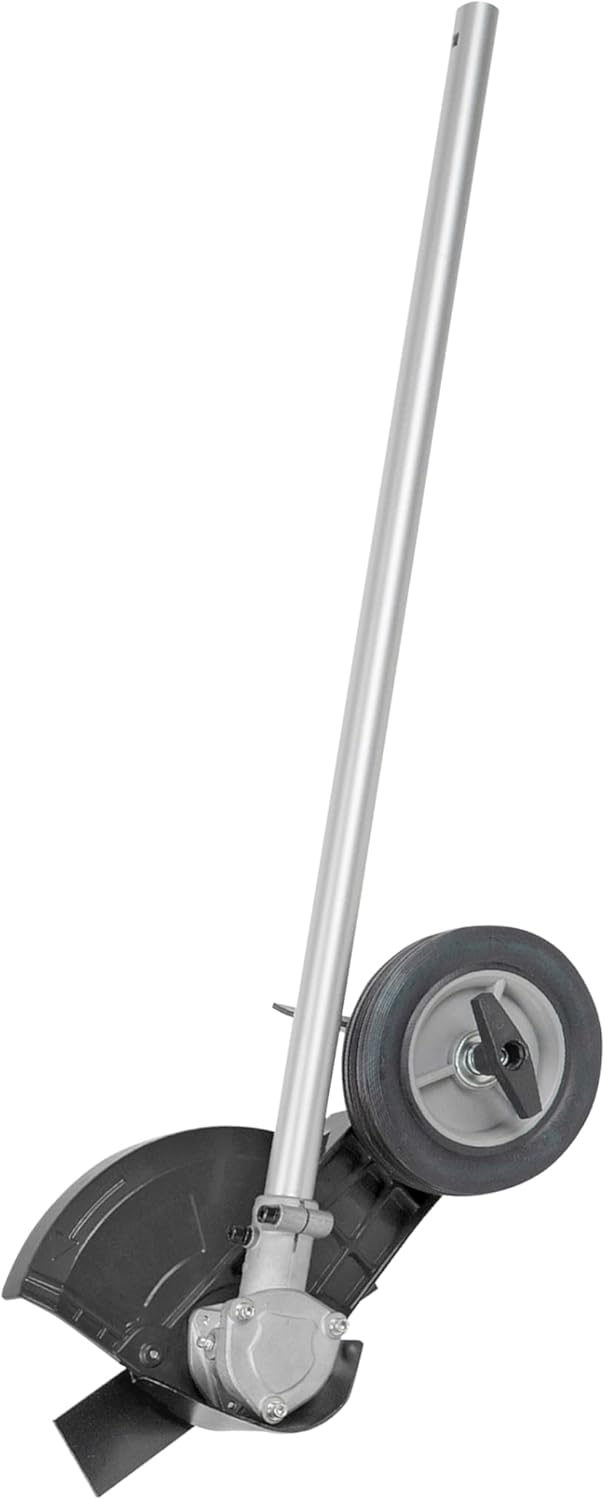 Fulla de tall de raspall