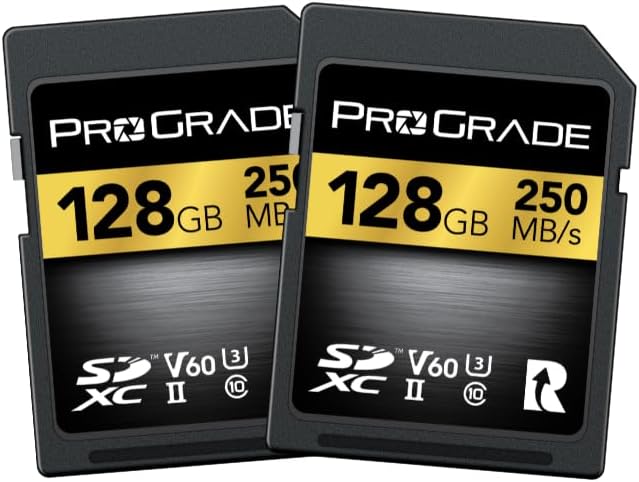 ProGrade Digital SDXC UHS-II V90 Memory Card (128GB), Silver, (Secure ...