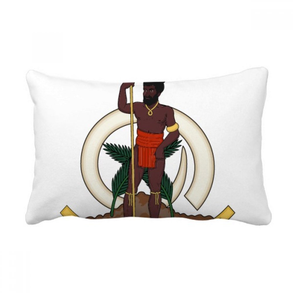 Oreiller lombaire Vanuatu 16x24 pouces multicolore avec insert pour support dos