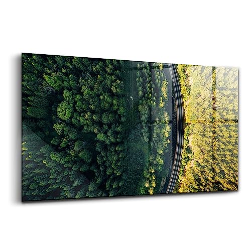 Peinture murale en verre durable Wallfluent pour transformer un mur sombre