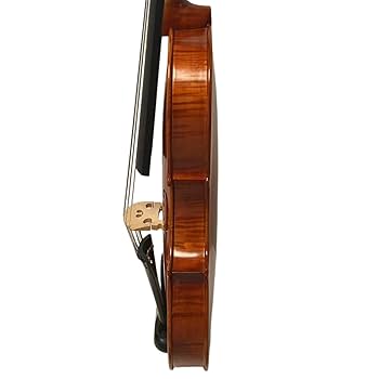 【新品未使用】バイオリン 4/4 弦 オブリガート オブリガート バイオリン弦 4本セット E線ゴールド : 大谷楽器