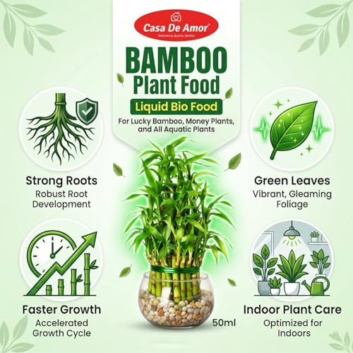 Image of Casa De Amor Bamboo Plant Food for Lucky Bamboo & Money Plants | Liquid Fertilizer for Indoor Water Plants | Growth Booster for Green Leaves & Strong Roots | 2 x 50ml (100ml Total)