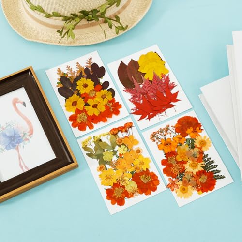Flores secas prensadas de otoño para manualidades miniatura 6