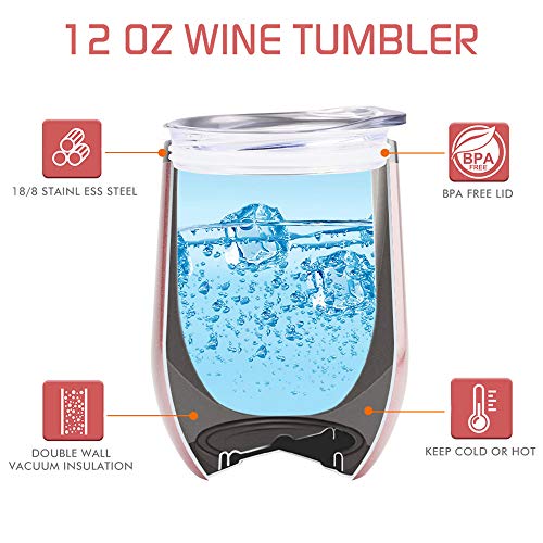 Not a Day Over Fabulous -12Oz Wine Tumbler Set Birthday Gifts for Women - Funny Mothers Day Wine Gift   s for Mom, Wife, Her, Daughters, Aunts, Sister, Best Friends, BFF, Girlfriend, Coworkers(Rose Gold)