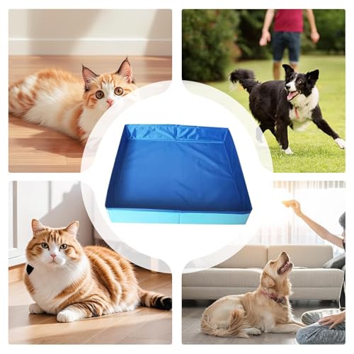 Hundepool, Planschbecken Faltbare für Hunde & Katzen, 50x50x10 cm Eckig Katzenpool, Hundebadewanne, Planschbecken ohne Aufblasen für Haustiere, Klappbar Schwimmbecken für Kleine Hunde & Katzen (A)