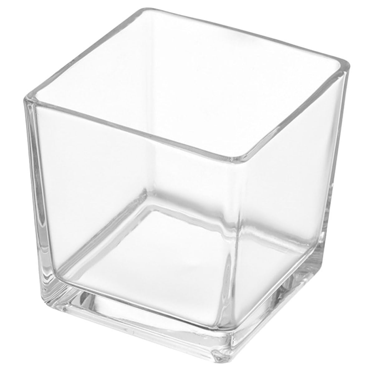 Vase pour plantes succulentes terrarium en verre transparent de 4,5 pouces