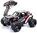 RC Ferngesteuertes Auto, 1/18 4WD RC monstertruck, Geländewagen mit 36+ km/h, Hochgeschwindigkeits Offroad Elektro Crawler mit 2 Akkus für Erwachsene Kinder
