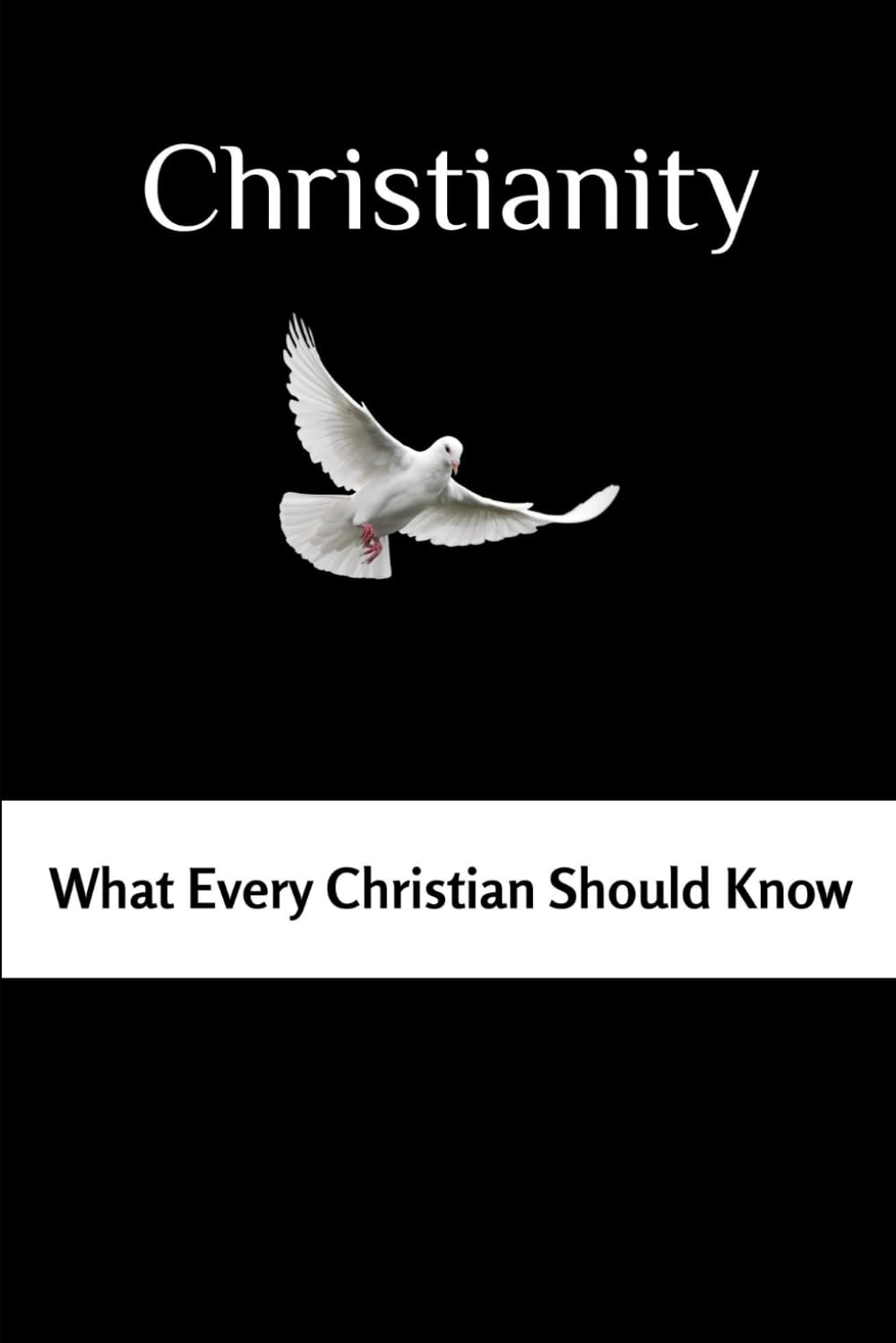 Christianity: What Every Christian Should Know (Early Church Fathers and the Early Church Series)