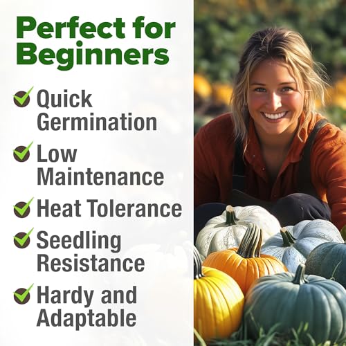 Image of HOME GROWN Pumpkin Seeds 5 Variety Mix 40+ Heirloom Non-GMO, High Germination, Connecticut Field, Blue, White & Mini Pumpkins,Edible & Jack O Lanterns,Autumn Harvest,Ornamental Garden (Cucurbita pepo)