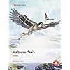 Metamorfosis (clasicos Adaptados) (Clásicos Adaptados) - 9788431694111 Español