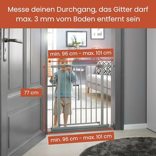 hauck Stop N Stop 2, Silber – Schutzgitter Treppe und Tür 96–101 cm – Kindersicheres Absperrgitter ohne Bohren – Manuelle 1 Hand Öffnung – nur für Innen - Auch für Hunde