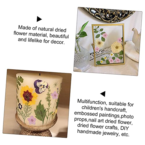 SEWACC 1 Conjunto 20 Pçs Miosótis Cabeça De Flor Decoração De Unhas Plantas Decoração Miniture Decor