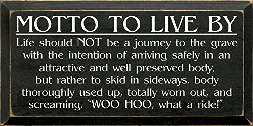Sawdust City Wood Plaque - Motto to Live by: Life Should Not Be A Journey to The Grave (Old Black)