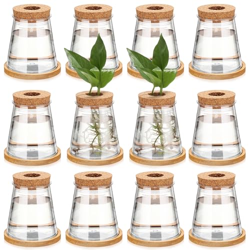 Baderke 12 Packs Plastic Desktop Vase with Hole Lid and Bamboo Stand Plant Propagation Stations Plant Growing in Water Hydroponic Home Office Table Decoration (Fresh Style)