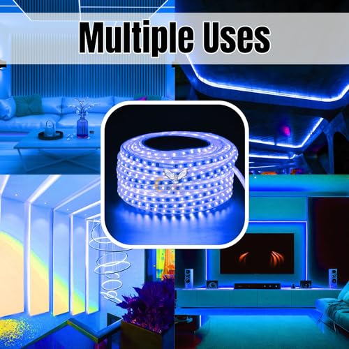 Image of Errol led Strip Lights for Home Decoration | Waterproof led Rope Lights | Energy Saving Strip Light for Room | Home Decor Lights for Diwali, Christmas, Outdoor (Blue, 4 Meter)