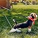pet Telescopic Urine Sample Catcher - Pet Urine Stick | Retractable Dog Cat Urine Collector, Long Handled Dog Pee Catcher Urine Stick, Dog Poop Catcher, Extendable for Small Large Female Dogs