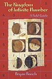 The Kingdom of Infinite Number: A Field Guide