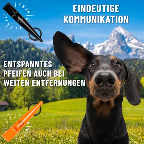 GIZZY® 2X Hundepfeife lauter & weitreichender Pfeifton I 2X Hundepfeifen ideal als Erziehungshilfen für Hunde I Zum Hundetraining u. als Hundepfeife Rückruf geeignet I Inkl. wertigem Band (orange)