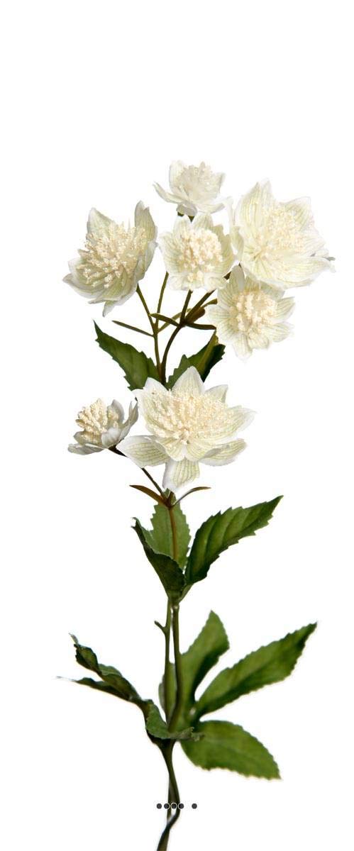 Artificielles.​com - Astrance fleur factice H50cm 8 fleurs 2 ramures Rare et superbe Crème - couleur: Crème