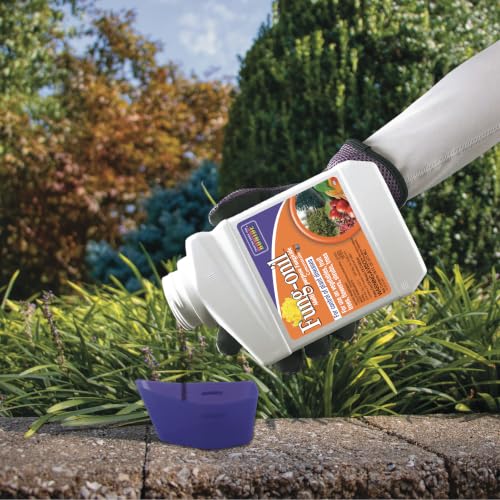 Bonide Fung-onil Multi-Purpose Fungicide, 16 oz Concentrate - image 5