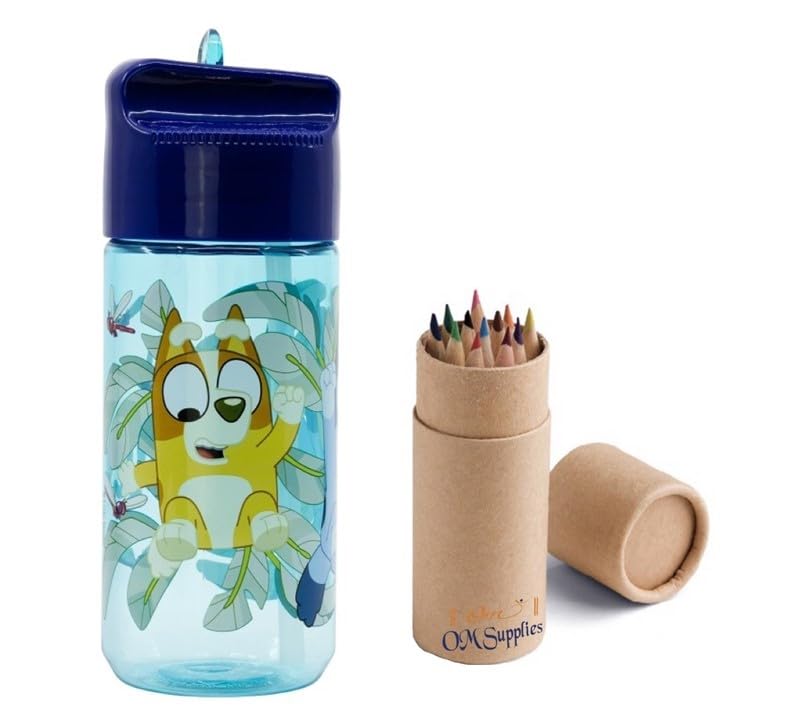 Characters Childrens Tritan Reusable Drinking Bottle 430ml - Holiday, Back to School Lunch Kids BPA free Plastic (Blue)
