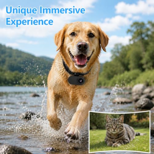 Image of HD 1080P Cat Camera Collar with Video Record Wireless Mini Sport cam,Small Action Cameras,Body Camera for Pet Supplies Stuff Outdoor /Inoor Birthday Gift No WiFi(Black)