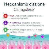 LONTAX B09J56LCCD lato 4