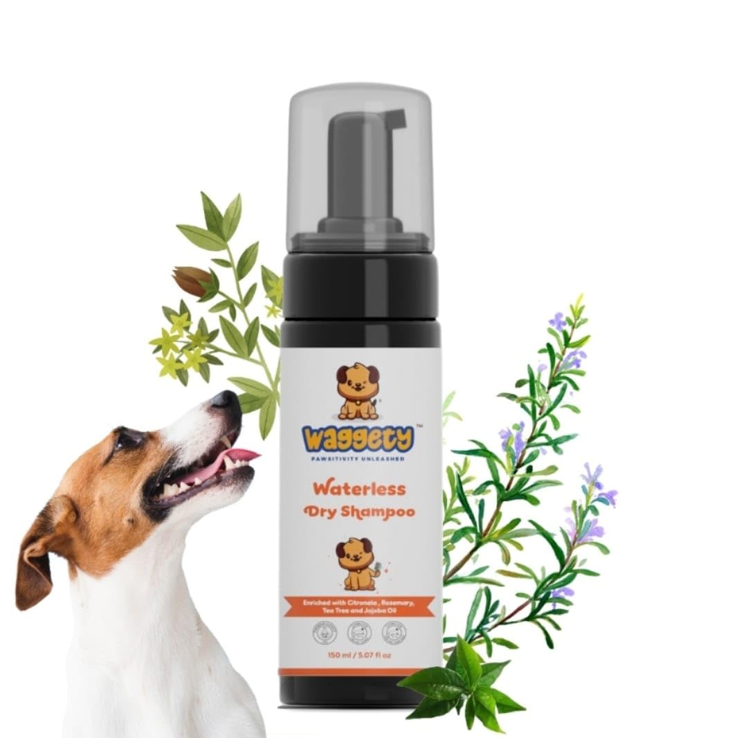 Waggety Waterless Dry Shampoo for Dogs|Citronella, Rosemary, Tea Tree & Jojoba Oil|150 Milliliter (B0D9M3NKBC) Amazon Price History, Amazon Price Tracker