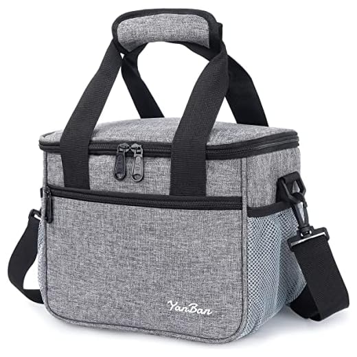 WuYan - Borsa termica per il pranzo, 10 l, per lavoro, ufficio, scuola, picnic, spiaggia, per adulti, uomini, donne, bambini (grigio)