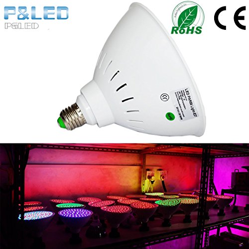 inground pool light switch