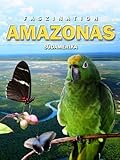 Faszination Südamerika Amazonas