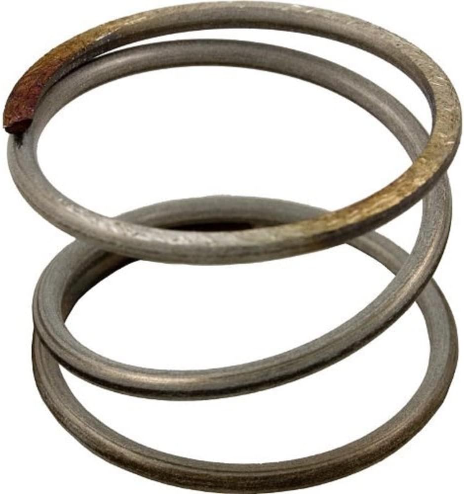 Amazon.com: Pentair 178616 Compression Spring Replacement Pool and Spa ...